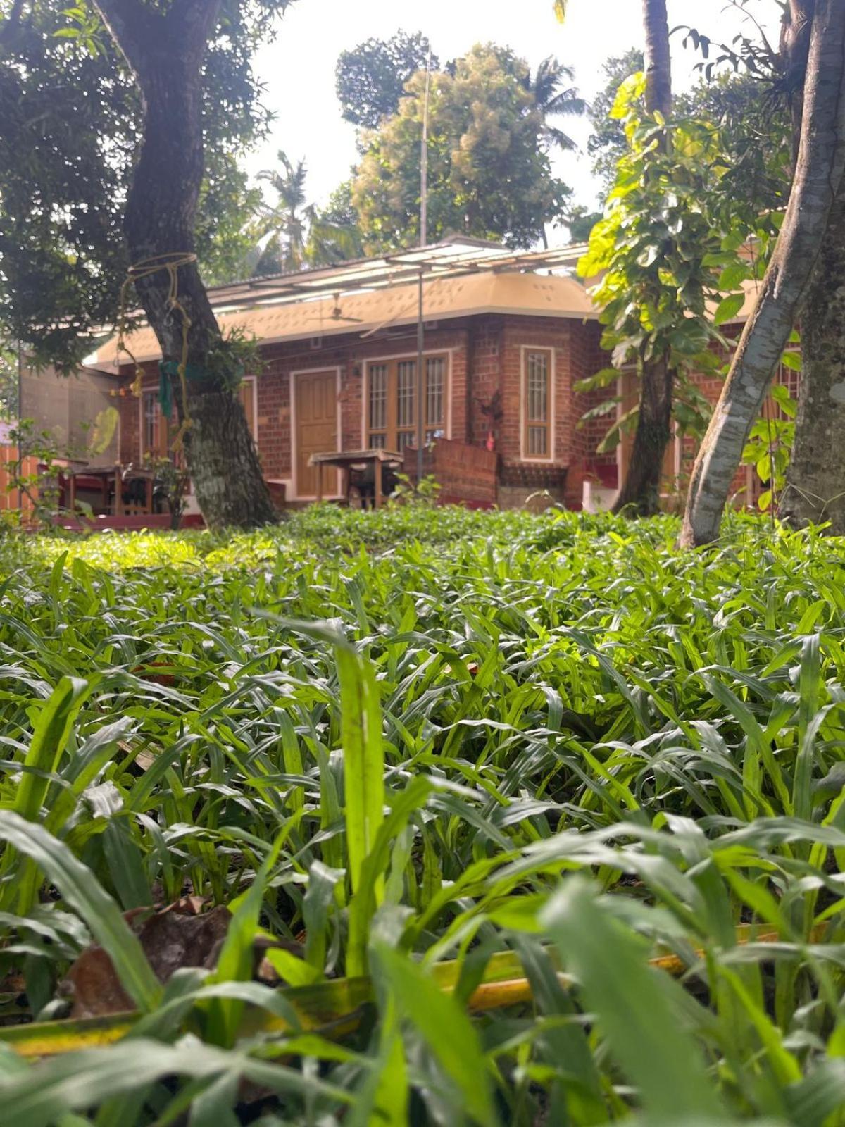 Ashtamudi Villa Коллам Экстерьер фото