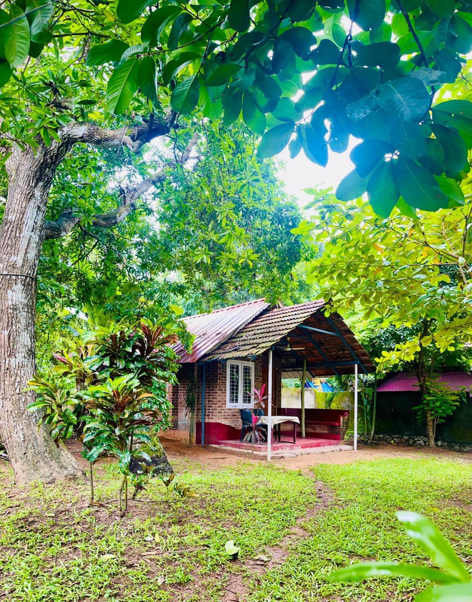 Ashtamudi Villa Коллам Номер фото